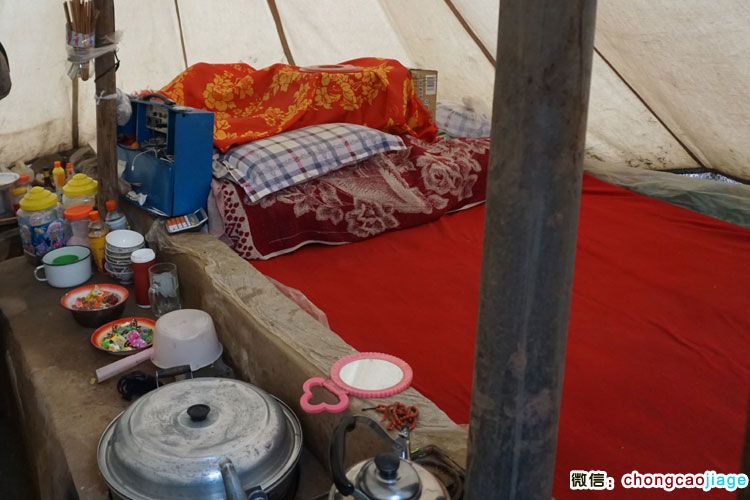 冬蟲夏草臨時帳篷內部擺設圖片