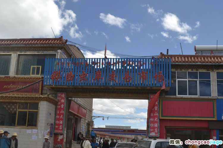 那曲蟲草交易市場圖片