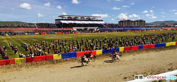 那曲賽馬場圖片