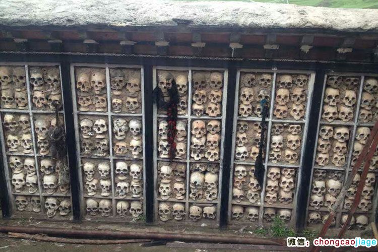 請輸入圖片描述 請輸入圖片描述