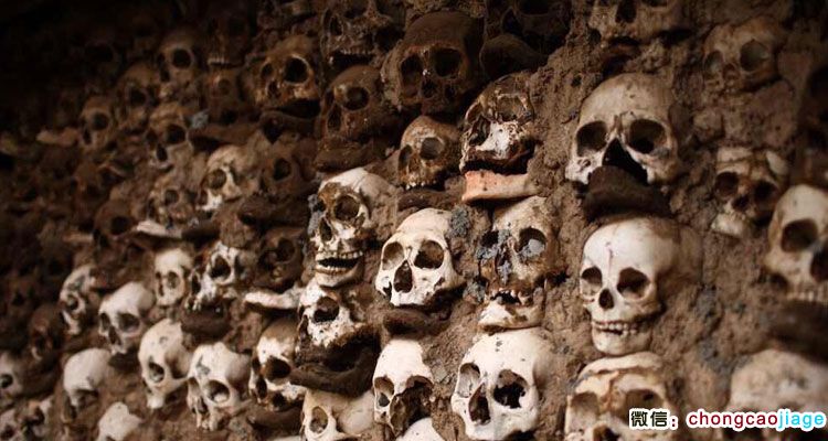 請輸入圖片描述 請輸入圖片描述