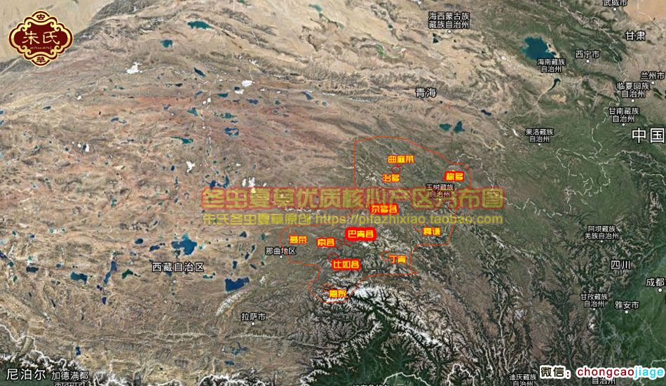 冬蟲夏草最好的產地地圖 冬蟲夏草最好的產地地圖