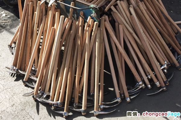 蟲草采挖工具小鋤頭圖片 蟲草采挖工具小鋤頭圖片