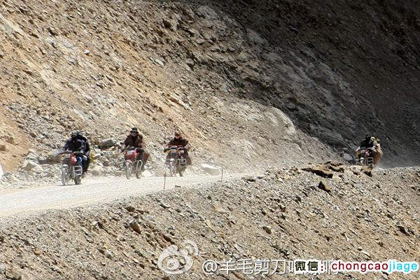 藏民騎摩托去采挖冬蟲夏草 藏民騎摩托去采挖冬蟲夏草