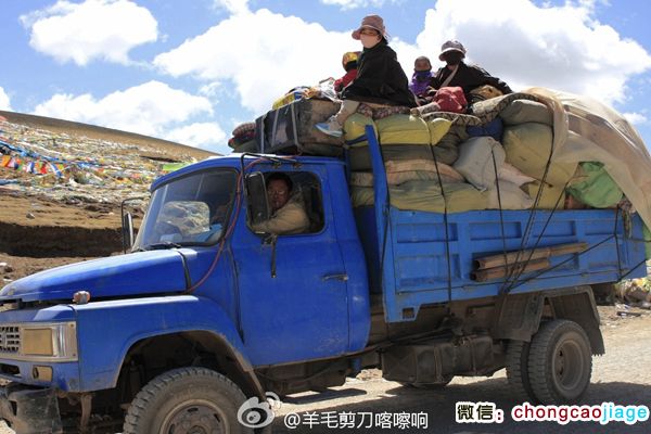 開(kāi)卡車去采挖冬蟲夏草 開(kāi)卡車去采挖冬蟲夏草