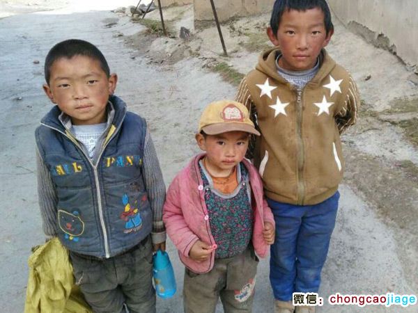 蟲草采挖地的藏族小孩圖片