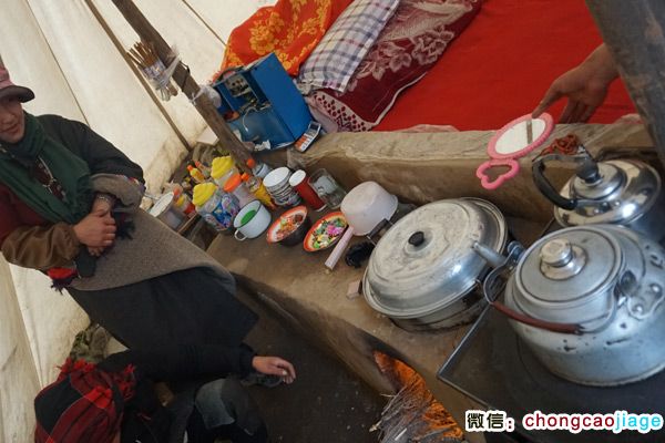 冬蟲(chóng)夏草采挖大軍宿營(yíng)地內(nèi)部圖片 冬蟲(chóng)夏草采挖大軍宿營(yíng)地內(nèi)部圖片