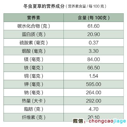 冬蟲夏草的營養成分