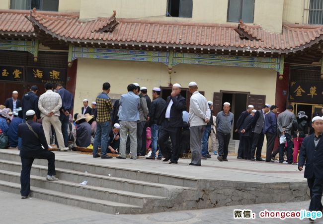 西寧勤奮巷冬蟲夏草批發市場(青海玖鷹冬蟲夏草交易中心) 西寧勤奮巷冬蟲夏草批發市場(青海玖鷹冬蟲夏草交易中心)