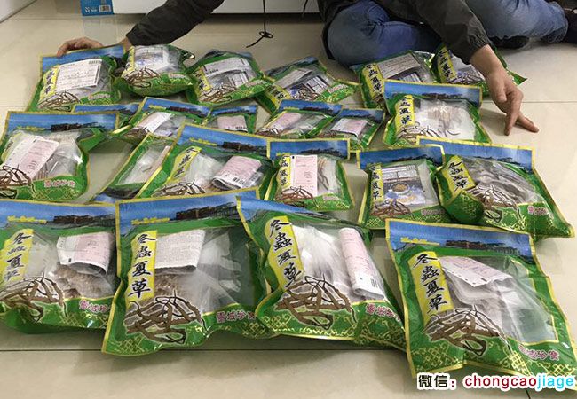 冬蟲夏草電商賣家 冬蟲夏草電商賣家