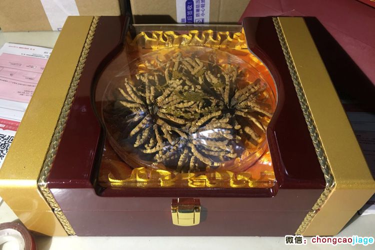 朱氏冬蟲夏草50克禮盒裝 朱氏冬蟲夏草50克禮盒裝