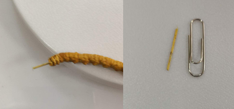 冬蟲夏草里面有竹簽圖片 冬蟲夏草里面有竹簽圖片