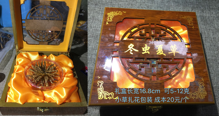 10克冬蟲夏草禮盒裝圖片