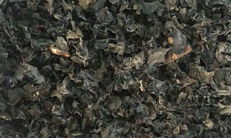 純野生木耳干品圖片 純野生木耳干品圖片