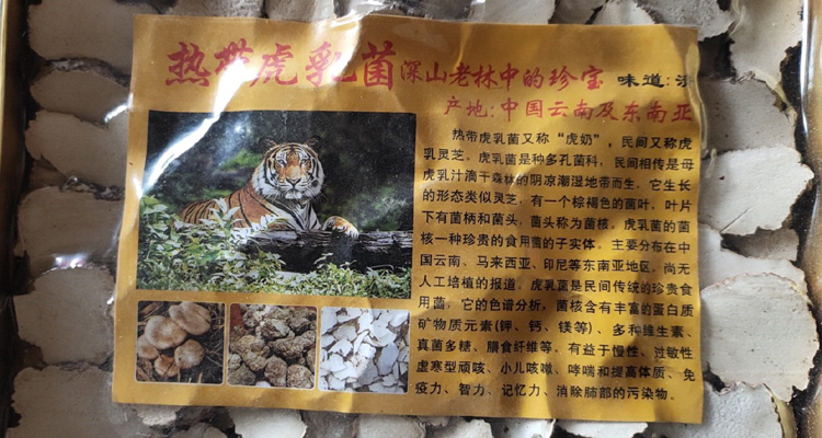 熱帶野生虎奶菌半斤圖片