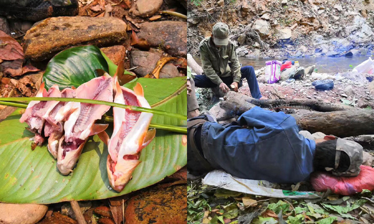 純天然蜂蜜取蜜團隊 純天然蜂蜜取蜜團隊