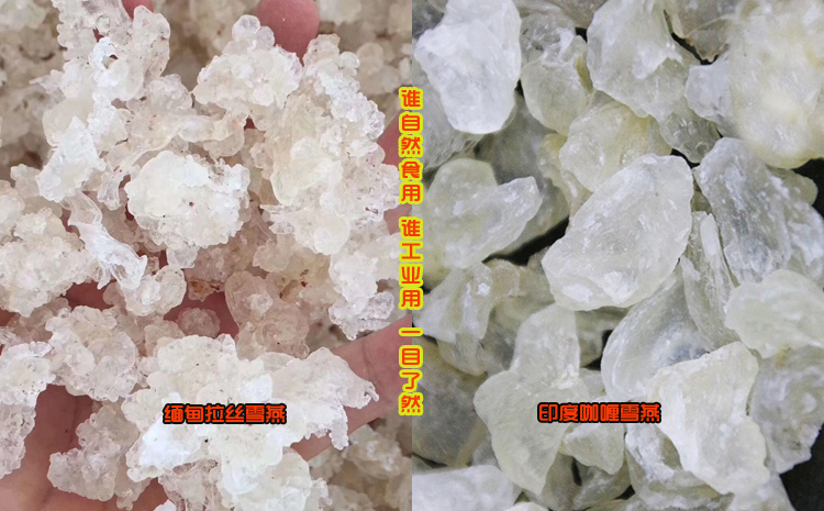 請輸入圖片描述