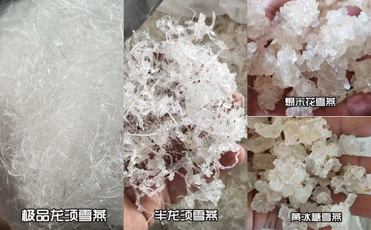 緬甸雪燕分級圖片