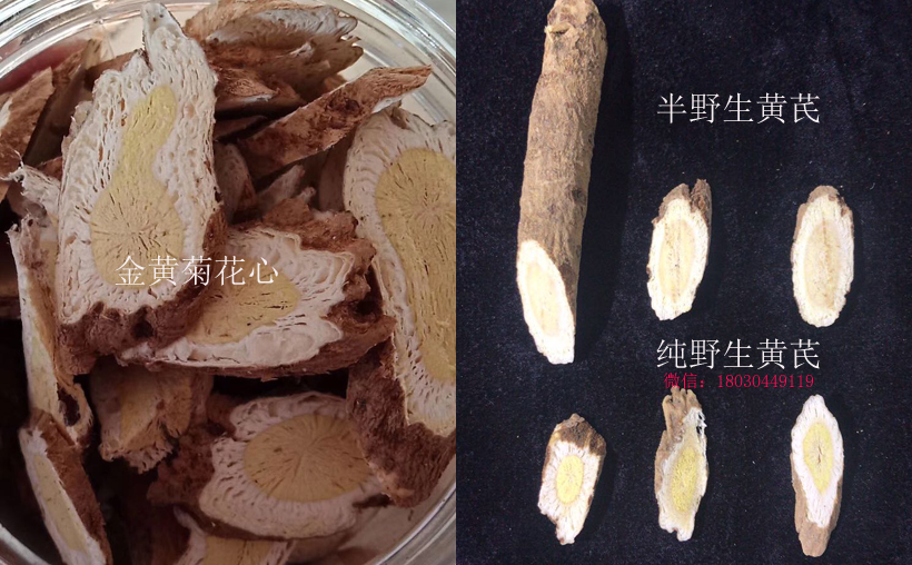 野生黃芪和半野生黃芪區(qū)別圖片 野生黃芪和半野生黃芪區(qū)別圖片