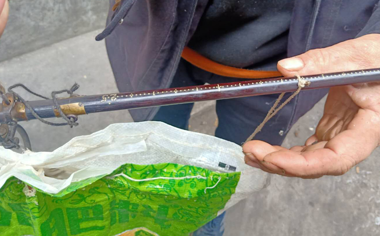 桑黃用桿秤稱重 桑黃用桿秤稱重