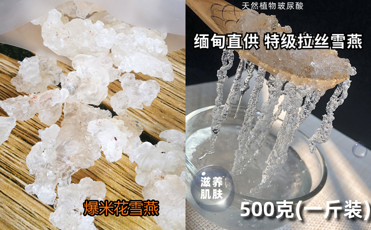 爆米花級雪燕圖片 爆米花級雪燕圖片