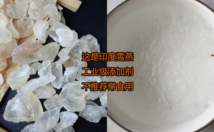 印度雪燕和印度雪燕泡發后的圖片 印度雪燕和印度雪燕泡發后的圖片