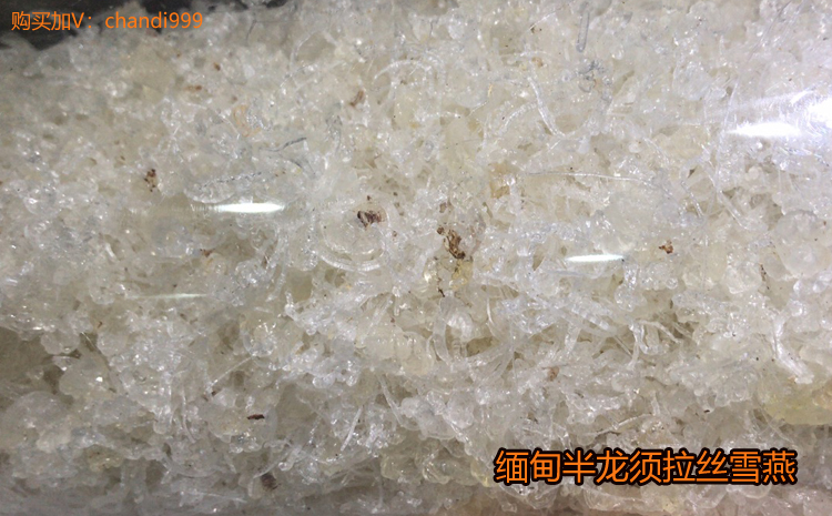 緬甸半龍須拉絲雪燕圖片