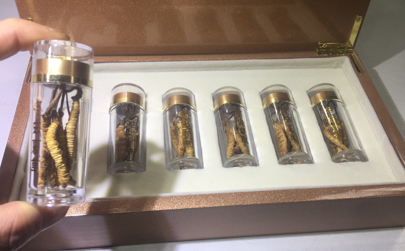 凍干冬蟲夏草7克禮盒裝 凍干冬蟲夏草7克禮盒裝