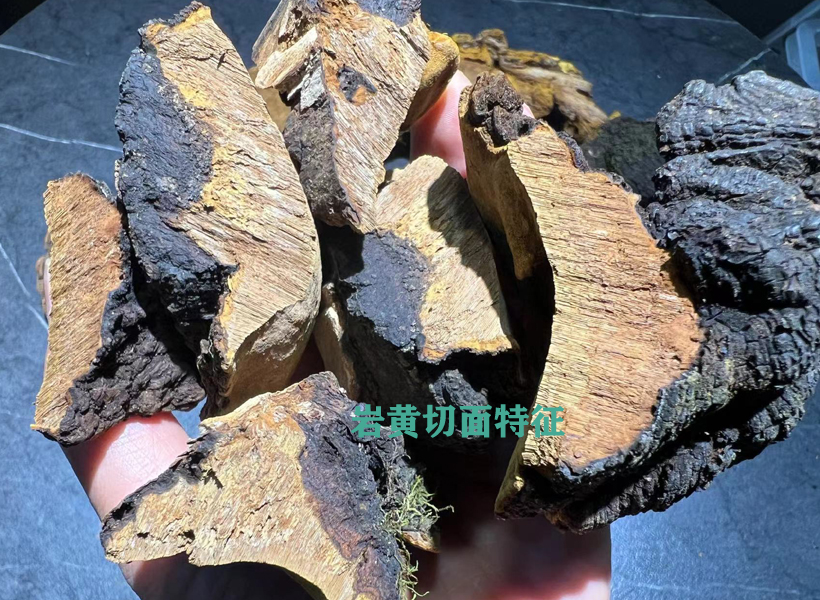 巖黃切面圖片