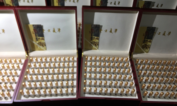 60根試管冬蟲(chóng)夏草禮盒裝 60根試管冬蟲(chóng)夏草禮盒裝